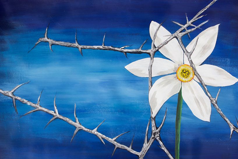 Die Strahlende von Susanne A. Pasquay