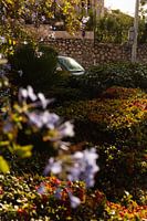 Goldenes Abendlicht über einem Garten in Toulon, Côte d'Azur, Frankreich