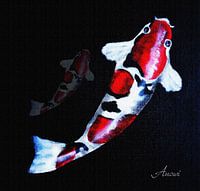 Koi