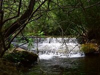 Whispers Of A Hidden Waterfall