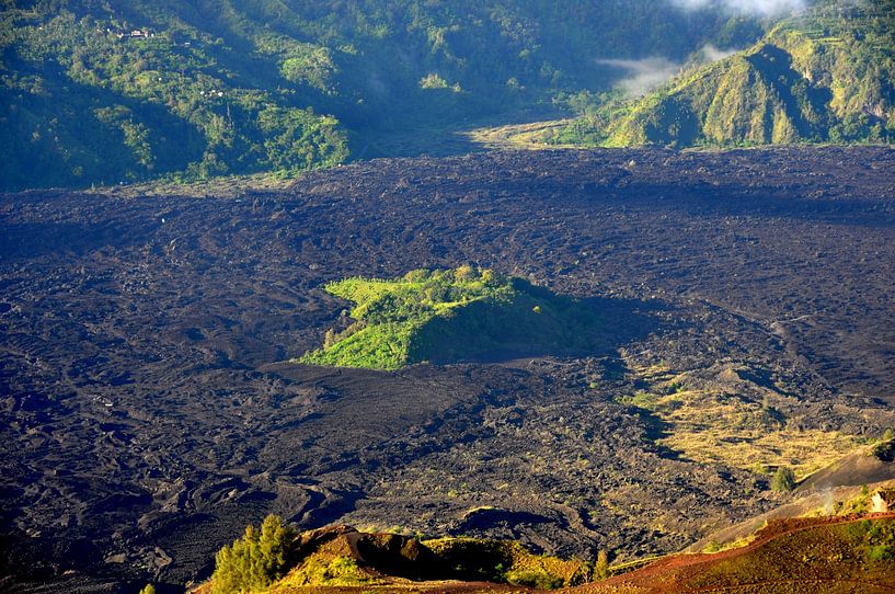 Feste Lava und grüne Insel am Vulkan Gunung Batur, Bali von Frank Photos