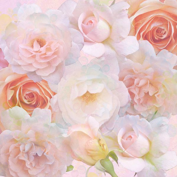 Le rêve de la rose par Thea Walstra