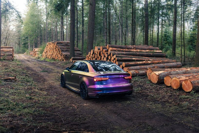 Audi RS3 Parked in the Forest – Nature and Automotive Wall Art by Sebastiaan van 't Hoog