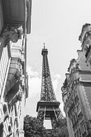 Eiffel Tower | Paris