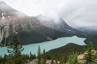 Cloudy Peyto Lake