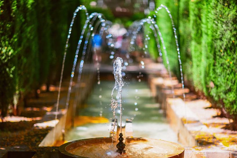 Petite fontaine entourée de buissons verts par Yevgen Belich