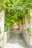 vue sur l'atmosphère verte