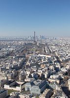 De daken van Parijs en de Eiffeltoren