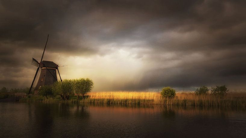 Nature as an artist by Saskia Dingemans Awarded Photographer