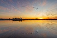 Gänse, die über das Oude Veer in Anna Paulowna fliegen, wo sich die Windmühle am bunten Horizont abhebt