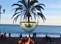 Reflection palm tree in wine glass