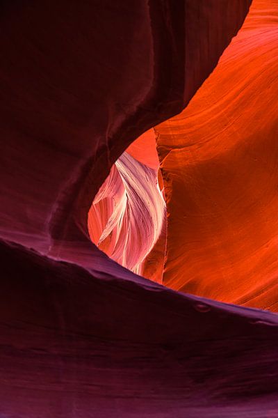 Flamme aus Stein von Tony Buijse