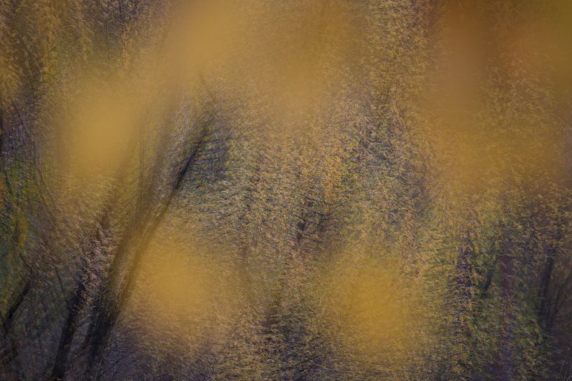 Herbst in der Bewegung, Surae, Dorst, Oosterhout, Noord-Brabant, von Ad Huijben