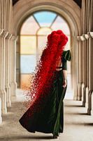 Bollenhut Renaissance ART 5.0