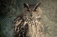 Hibou de l'époque