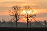 Die Sonne geht gerade auf