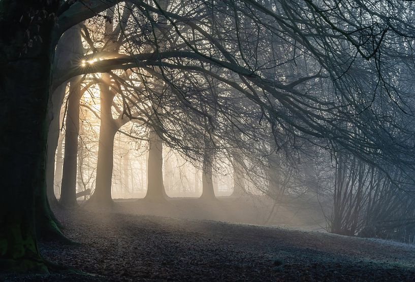 Hemmensebos Teil 44 von Tania Perneel