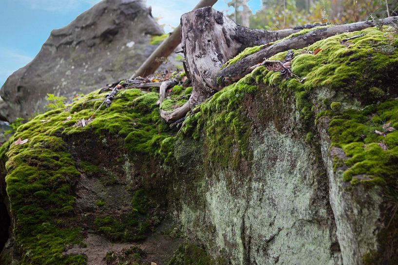Saxon Switzerland (Elbe Sandstone Mountains) by t.ART