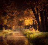 Zünde mein Feuer an