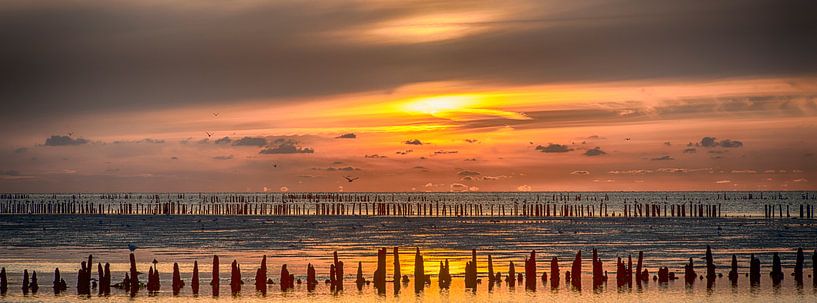 Wadden par Reint van Wijk