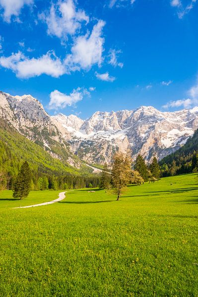 Blick auf das Alpental im Frühling von Sjoerd van der Wal Fotografie