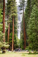 La cascade de Yosemite vue à travers les arbres.