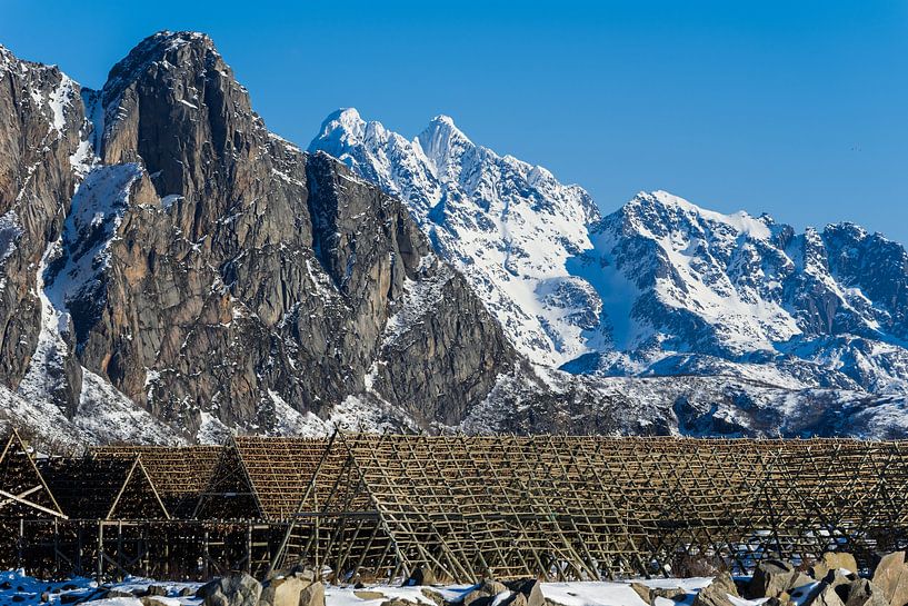Traditional wooden frame for drying fish on the Lofoten Islands in winter with mountains and snow by Robert Ruidl