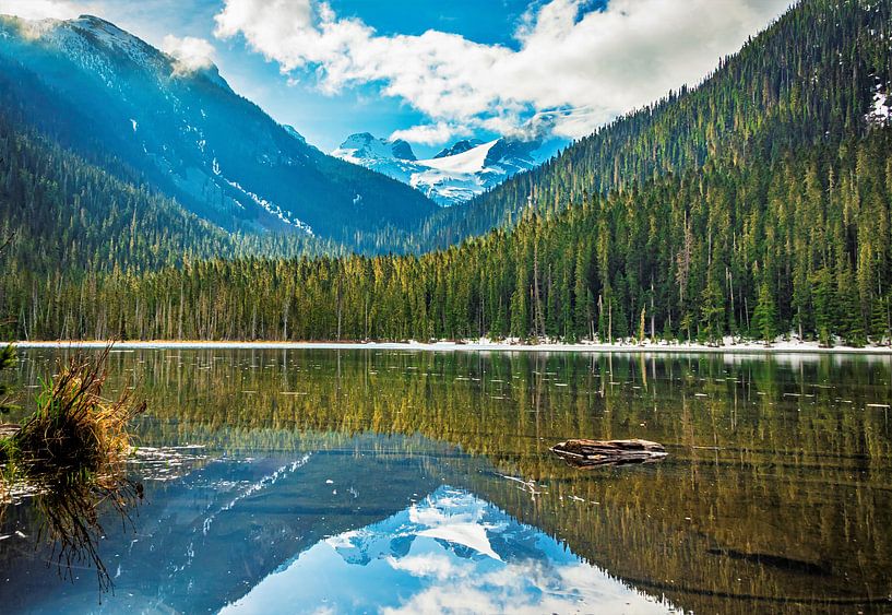 Mirror image, lake in canada by Rietje Bulthuis