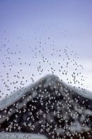 Winter in Davos, Switzerland