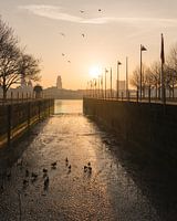 Sonnenaufgang vom linken Ufer - Antwerpen