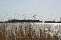 Vue de la réserve naturelle de Lauwersmeer près d'Ezumakeeg