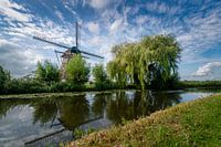 Mühle Oostzijdse bei der Gein