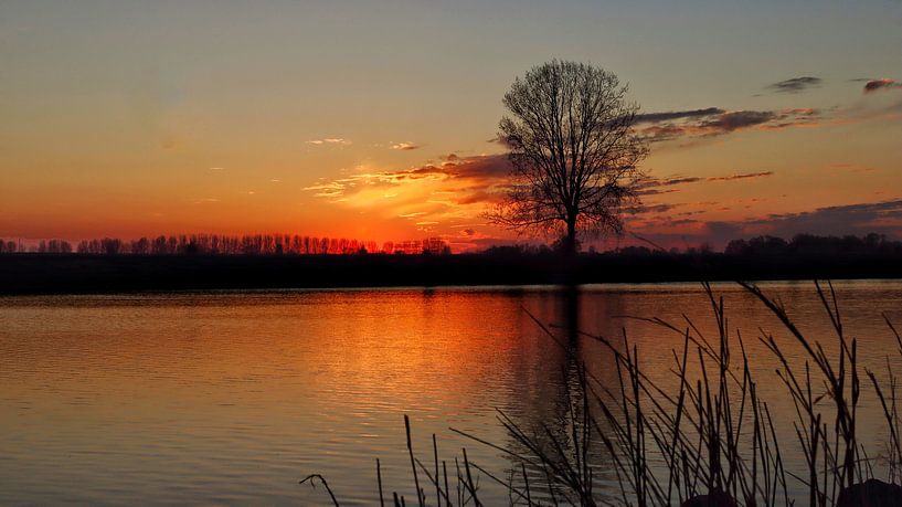 Sunset by Laura van Grinsven