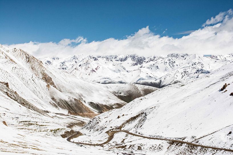 Der Weg nach vorn von Ann Cools