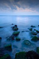 Zeeland auf den Felsen