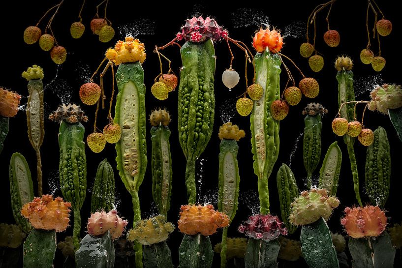 Momordica charantia by Olaf Bruhn