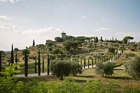 Tuscan hills and avenue of cypresses | Montepulciano