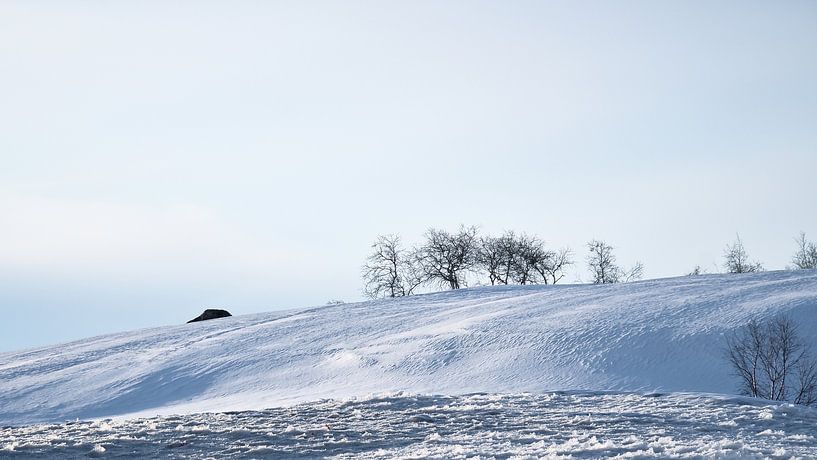 Norwegisches Hochgebirge, verschneite Berge und Landschaft von Martin Köbsch