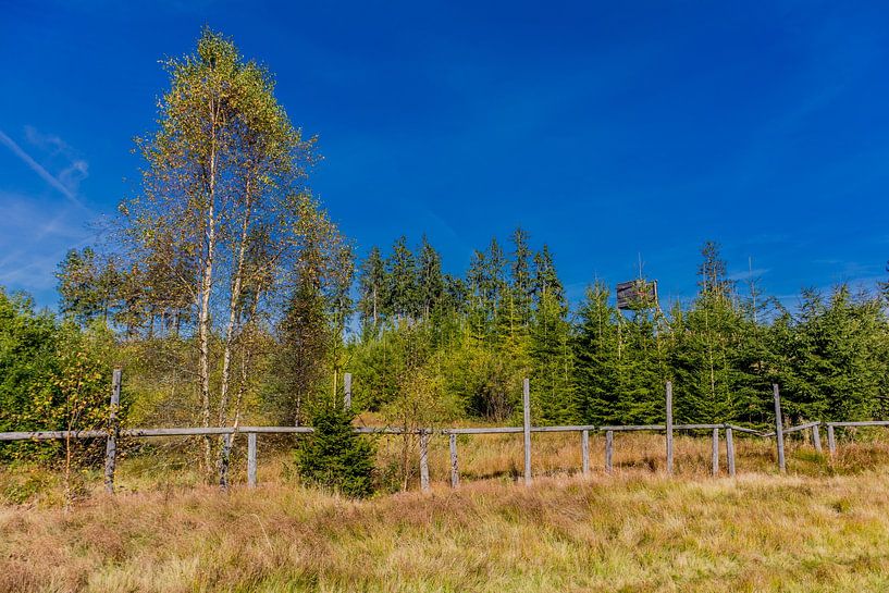 Unterwegs im Nationalpark Rhön von Oliver Hlavaty