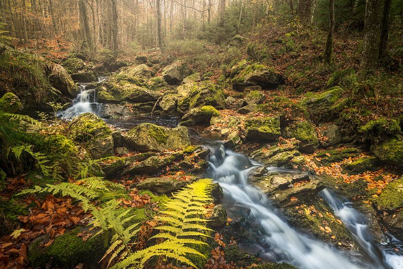 Herbst am Fluss von Peter Poppe