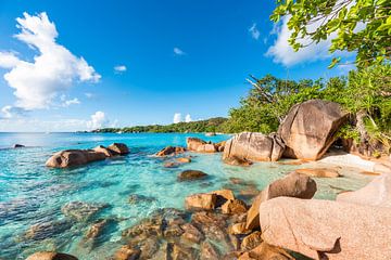 LP 71301972 African beach by BeeldigBeeld Food & Lifestyle