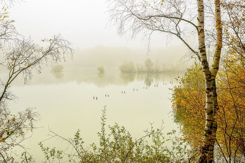 Lommel-Sahara von Leon Okkenburg
