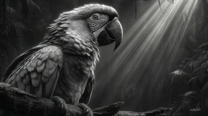 Schwarz-Weiß-Papagei Kakadu-ara von Gelissen Artworks