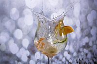 Orangenscheibe in Wasser