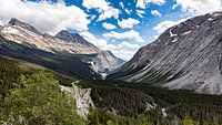 Canada, Rocky Mountains : promenade des champs de glace