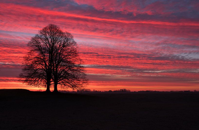 Lever du soleil à l'arbre par Moetwil en van Dijk - Fotografie