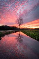 Spektakulärer Sonnenuntergang