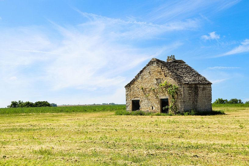 in the French countryside by Yvonne Blokland
