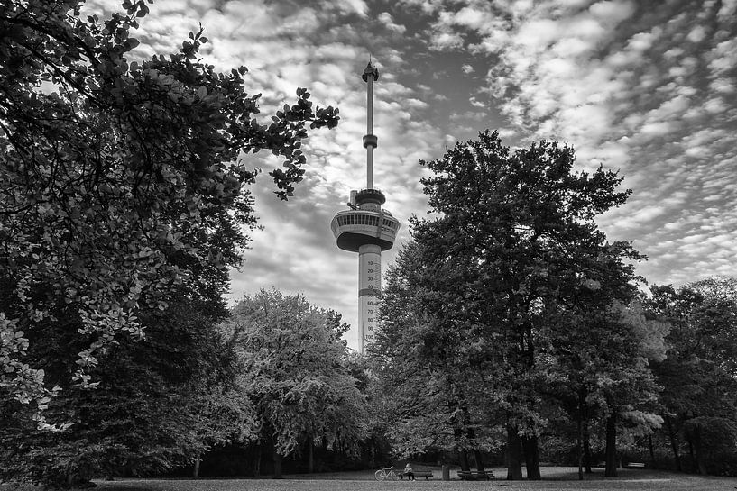 Euromast-Park mit dem Euromast von Ilya Korzelius