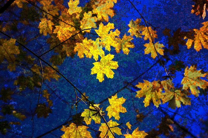 Golden October by Thomas Jäger